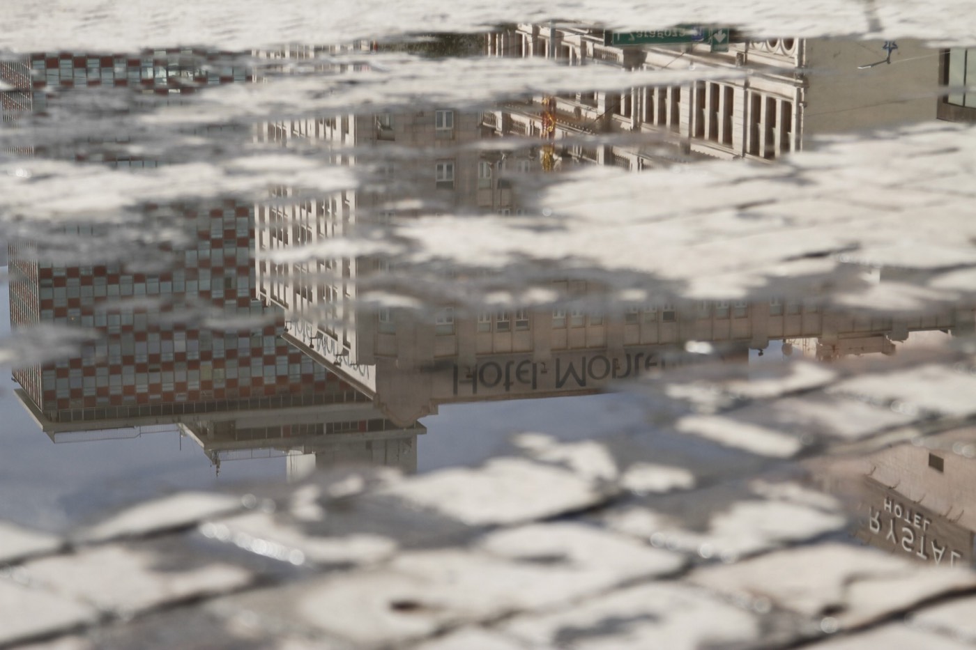 Los edificios del centro de Monterrey reflejados al revés en un charco sobre el adoquín.